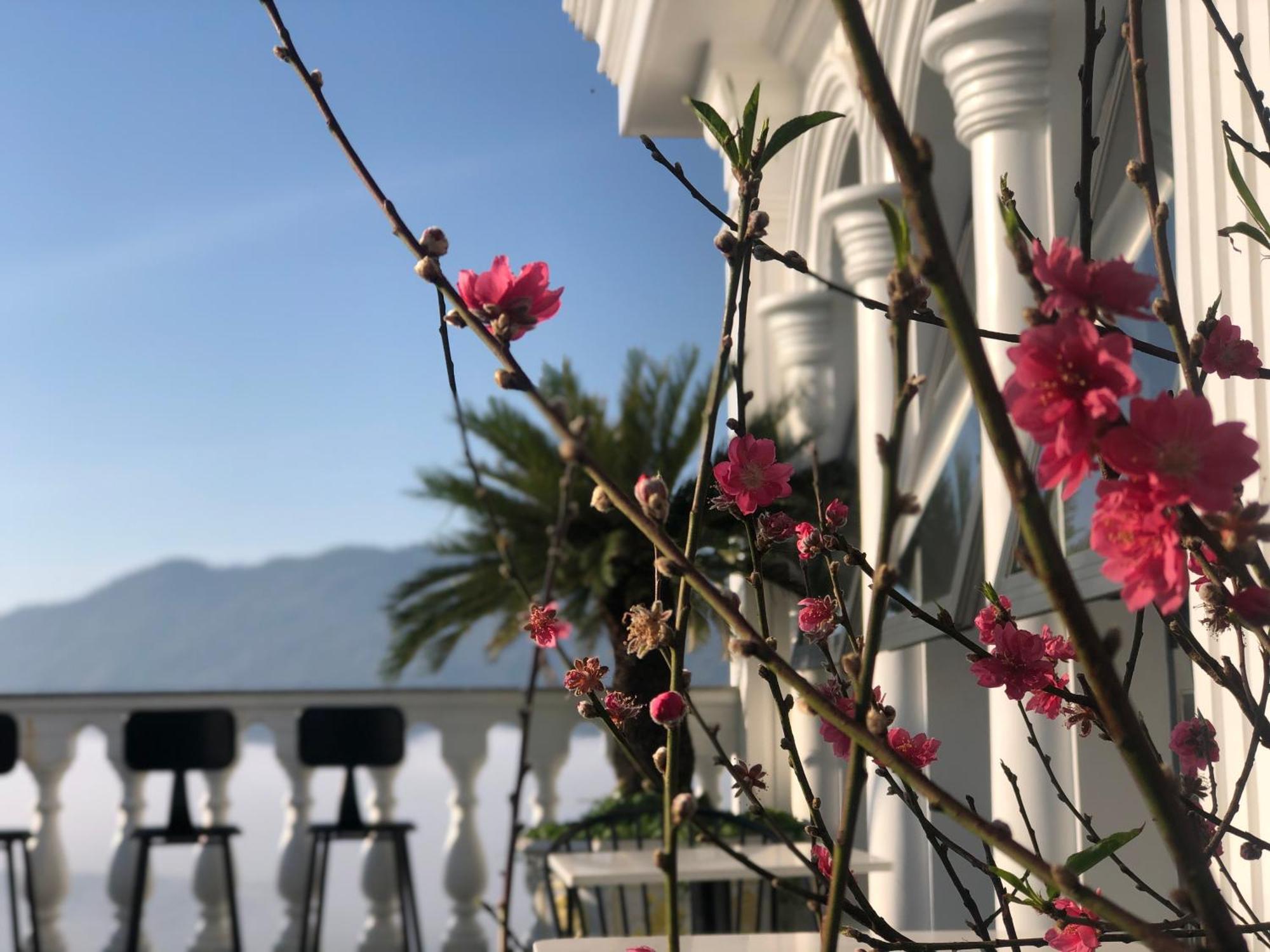 Hotel Hoa NáNg 保禄 外观 照片