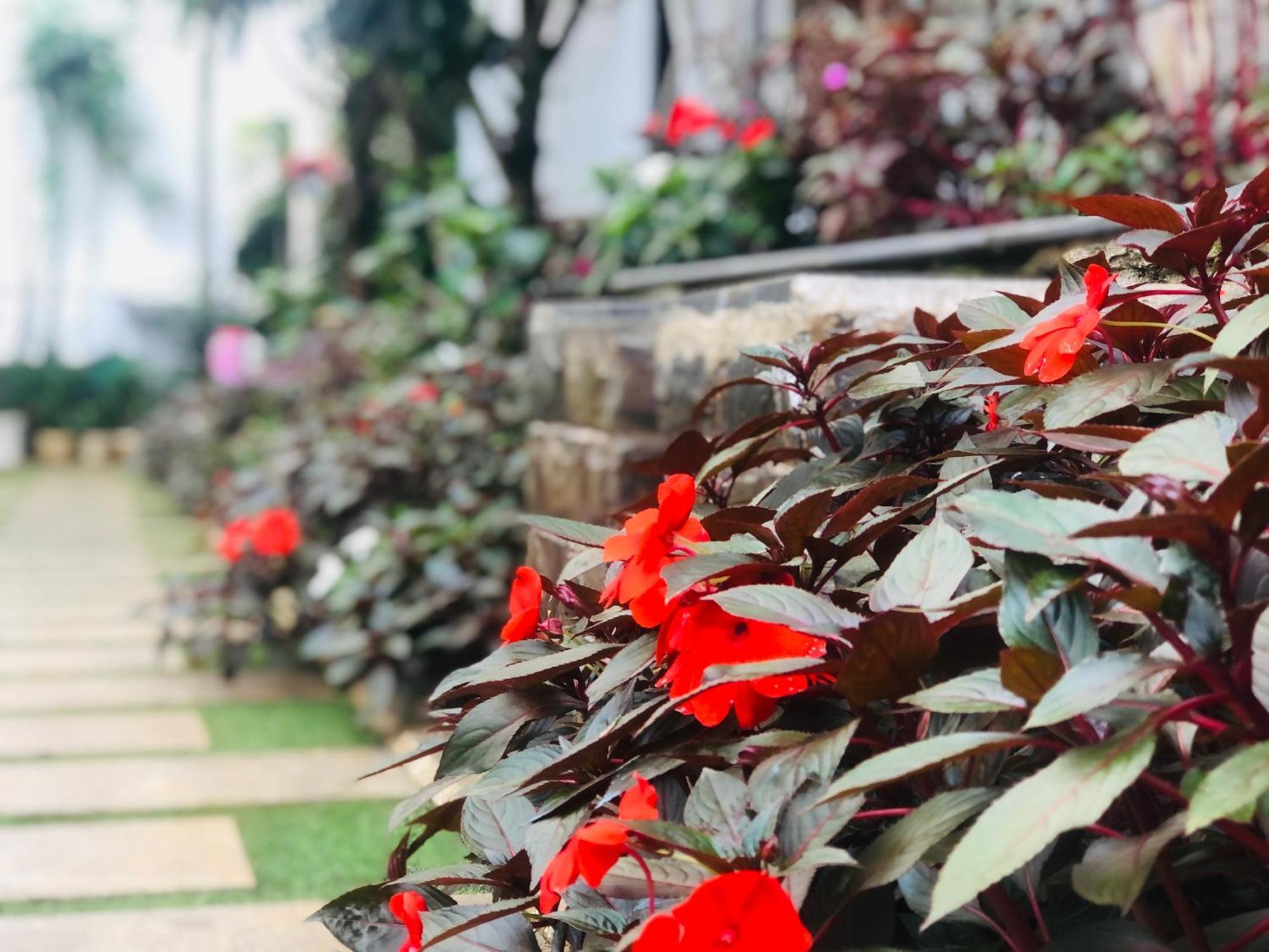 Hotel Hoa NáNg 保禄 外观 照片